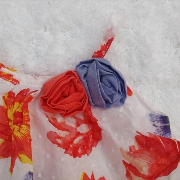 2 Baby Girl Dresses - Floral & India Palace Print - Picture 4 of 15